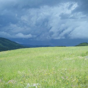 quad_aug_1_2010_035