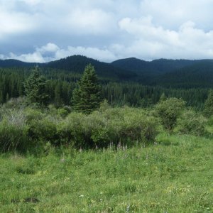 Aug_3_2010_Quad_004