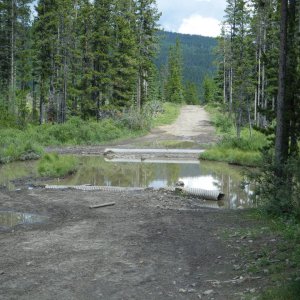 Aug_3_2010_Quad_022
