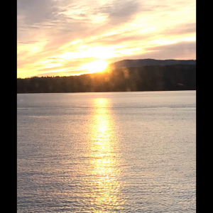 Ferry boat ride...