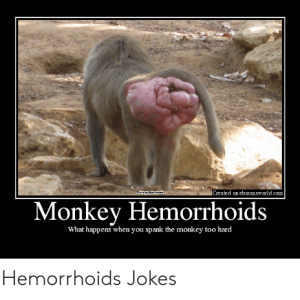 created-on-ebaumsworld-com-ewagntt-eom-monkey-hemorrhoids-what-happens-when