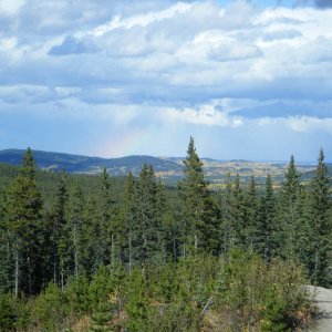 79_Truck_0392