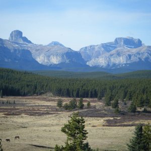 Quad_Oct_23_2010_014