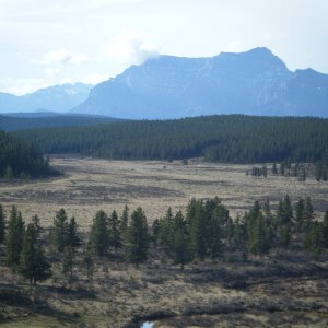 Quad_Oct_23_2010_015
