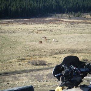 Quad_Oct_23_2010_016
