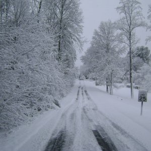DSC04635