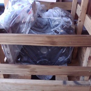 IMG00351-20100529-0953
