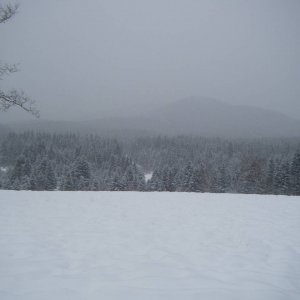 Quad_Dec_29_2010_011