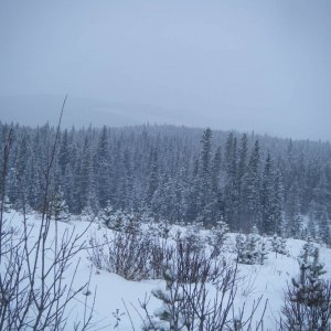 Quad_Dec_29_2010_031