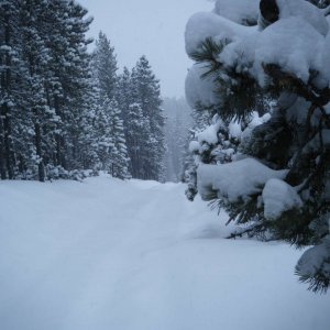 Quad_Dec_29_2010_047