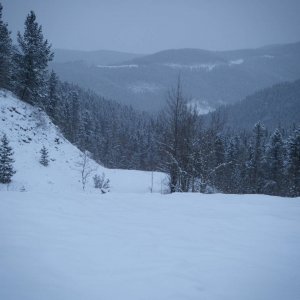 Quad_Dec_29_2010_056