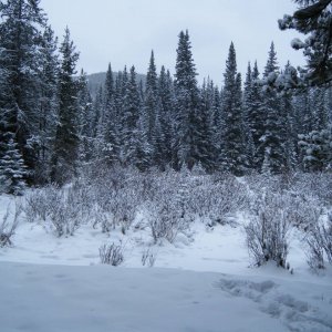 Quad_Dec_29_2010_057