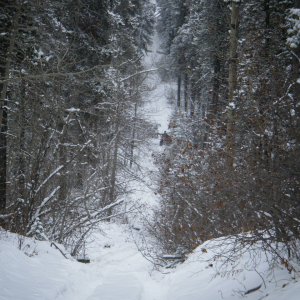 Quad_Dec_29_2010_064
