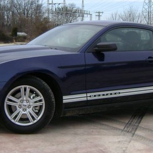 Mustang_1