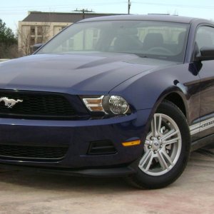 Mustang_2