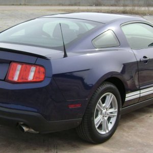 Mustang_3