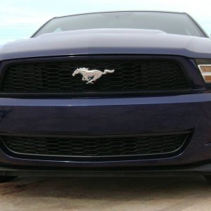 Mustang_5