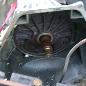 DSC04775