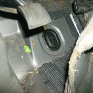 Picture_336