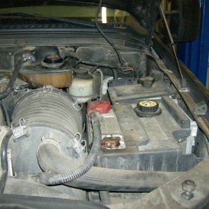 Picture_334
