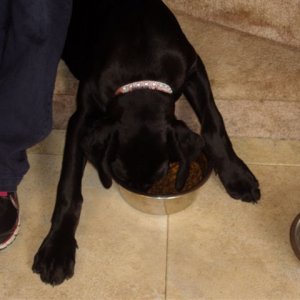 Josie_being_lazy