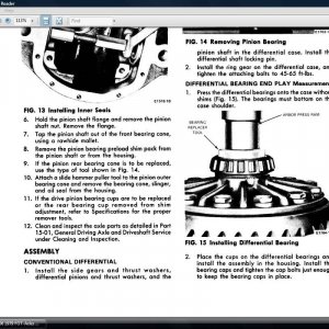 Pinion
