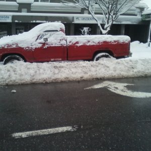 Rusty Bucket plowed in