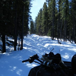 Quad_April_23_2011_005