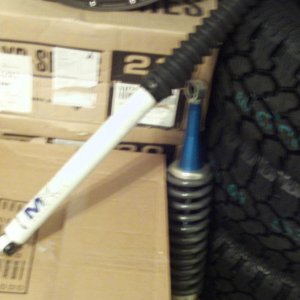 user149661_pic56058_1267320820