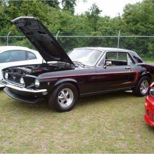 Black 289