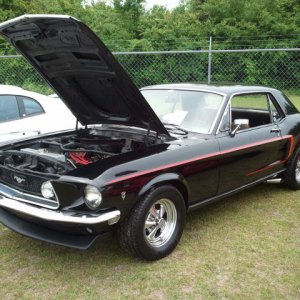 Black 289