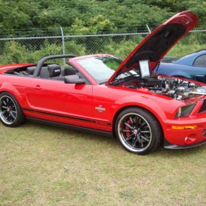 Shelby GT500 Special Edition