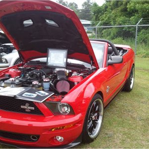 Shelby GT500 Special Edition