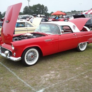 T-Bird