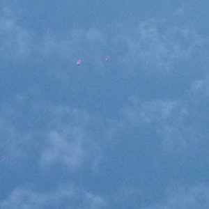2011-05-19_10_01_21