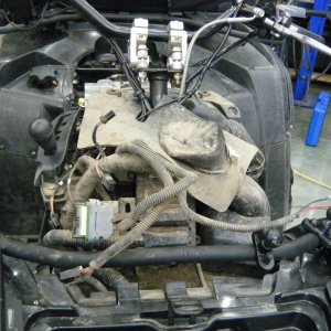 Quad_Snorkel_006