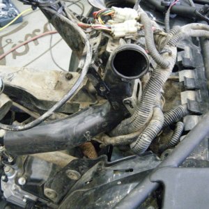 Quad_Snorkel_020