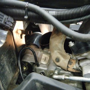Quad_Snorkel_022