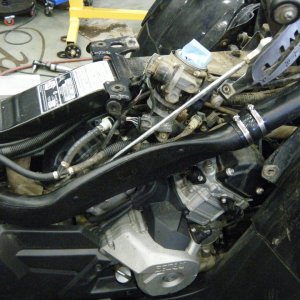 Quad_Snorkel_023