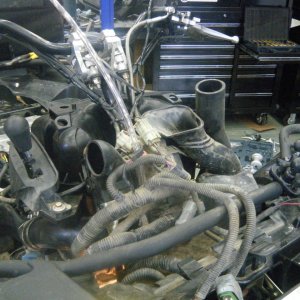 Quad_Snorkel_026