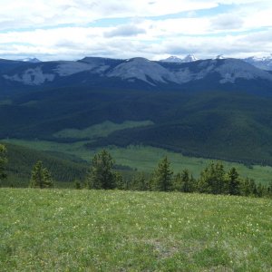 Quad_July_9_2011_007