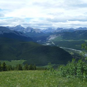 Quad_July_9_2011_008