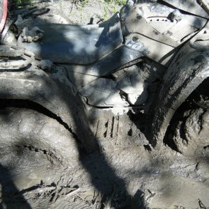 Quad_July_9_2011_018
