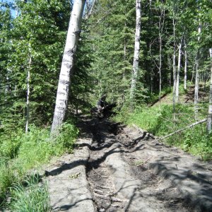 Quad_July_9_2011_019