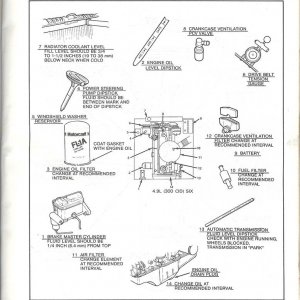 79DIY20