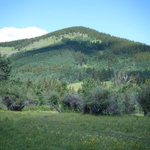 Quad_July_23_2011_007