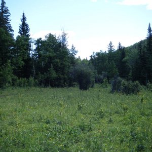 Quad_July_23_2011_008