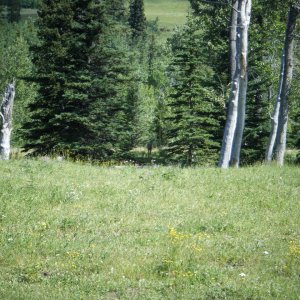 Quad_July_23_2011_014