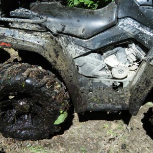Quad_July_31_Caroline_015