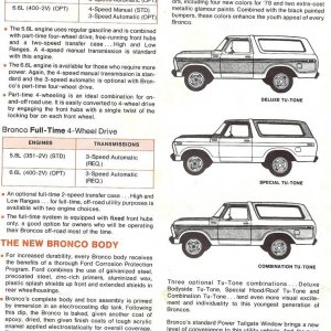 Bronco31
